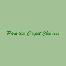 13 best san jose carpet cleaners