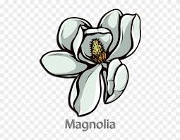 kappa alpha order flower magnolia