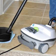 steamfast sf 370wh steam cleaner review