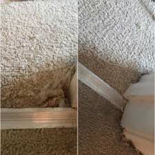 carpet repair professional carpet