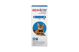 the 7 best flea treatments for cats of 2023