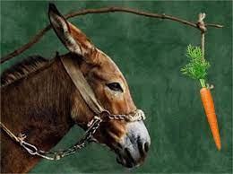 The carrot is a reward for moving while the stick is the punishment for not moving and hence making him move forcefully. Q Is There More Than One Effective Way To Motivate Others A There Are Many Different Ways To Motivate Others It S Important F Donkey Donkey Images Animals