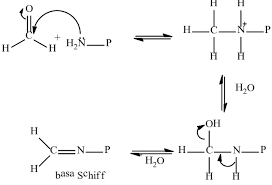 the mechanism of the reaction between