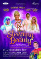 Image result for the brindley panto