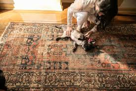 special rug cleaning greensboro nc