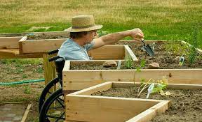 Make Gardening More Accessible