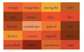 Llr Orange Color Chart Color Names Color Shades Colours