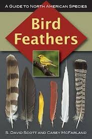 Feather Identification Guide Bird Feathers Guide Bird