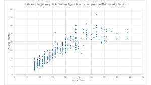 Labrador Weight Charts How Much Should My Labrador Weigh
