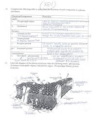 Download Acumen Cell Membrane And Transport Worksheet Aaa