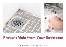 amazing tips to prevent mold from your