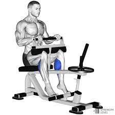 seated calf raise standards for men and