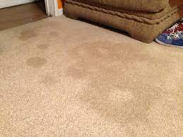 Year Old Carpet Stains GONE : 7 Steps (with Pictures) - Instructables