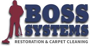 carpet cleaning services in highland