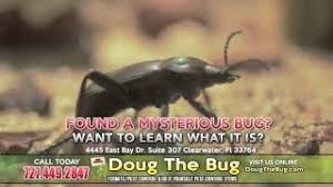 Do it yourself pest control of dunedin. Doug The Bug Termite Pest Control Do It Yourself Pest Control Store 727 449 2847 Youtube
