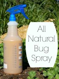 homemade all natural insect spray for