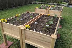 plant layout and ing in raised beds