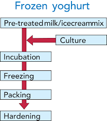 Fermented Milk Products Dairy Processing Handbook