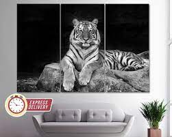 White Tiger Canvas Print Tiger Wall Art