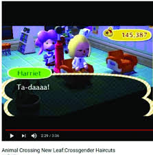 New leaf is dependent on how you answer harriet's questions in the shampoodle salon. Animal Crossing New Leaf Crossgender Haircuts Source Youtube Download Scientific Diagram