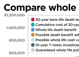 is whole life insurance right for you