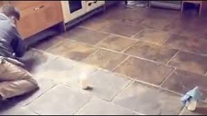 yorkstone floor cleaning sealing in