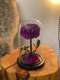 Glass Dome Forever Flower Infinity Rose