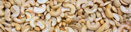 Exporting cashew nuts to Europe | CBI