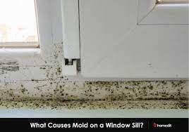 clean and prevent mold on your window sill