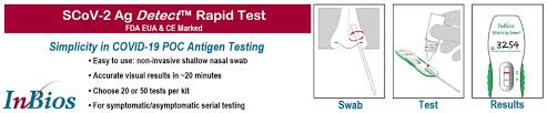 covid 19 rapid tests antibody