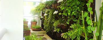 Make Your Own Indoor Botanical Garden