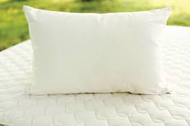 wool latex pillow savvy rest