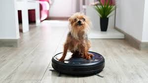 the best robot vacuums for pet hair
