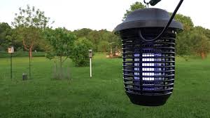 9 Best Solar Bug Zappers Reviews In