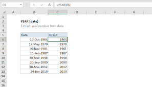 how to use the excel year function