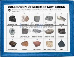 Collection Of 15 Sedimentary Rocks Kit Rocksmins