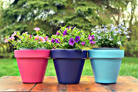 Spray Painted Flower Pots For Mother S