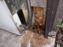 fixing a rotted door frame