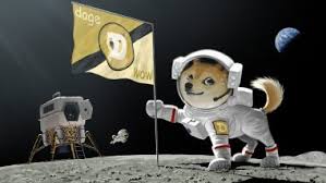 Elon musk thinks we're pretty cool. Doge Price Archives Bitcoin News