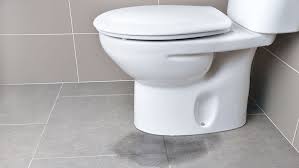 Ed Toilet Repair How To Fix A