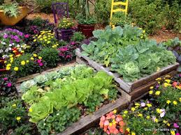 12 Beautiful Pallet Garden Ideas