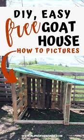 Diy Easy Free Goat House With