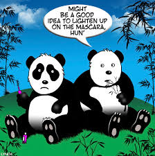 panda makeup by toons nature cartoon