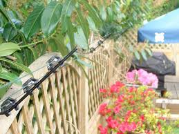 Proven electric fence for goats. Cat Fence Electric Fencing For Cats Electric Fencing Direct