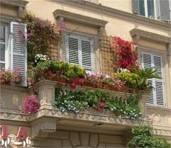 Image result for ‫تزیین بالکن با گل های آپارتمانی زیبا‬‎