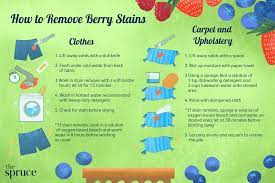 how to remove berry stains from cloth