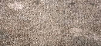 how to easily remove mould from carpet