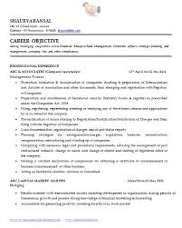 latest cv templates doc http webdesign   com the sample resume     Appealing Free Job Resume Template
