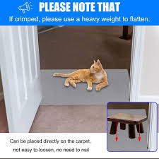 cat carpet protector doorway