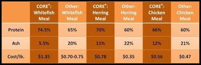 Wellness Core Comparison Chart Dry Dog Food Wellness Core